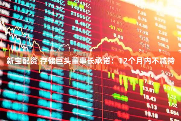 新宝配资 存储巨头董事长承诺:12个月内不减持